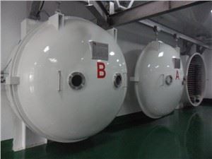 Sanoat mevalarni muzlatish quritgichlari Oziq-ovqat mahsulotlarini qayta ishlash mashinalari