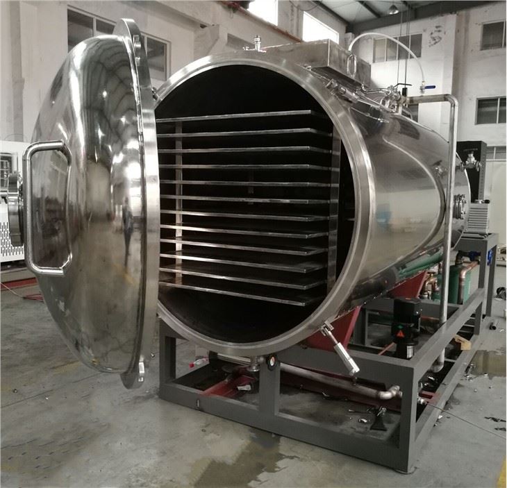 buy Vacuum Food Freeze Dryer
